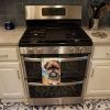 Brussels Griffon Luau Kitchen Towel Dish Cloths Guest Hand Towel Decorative Bathroom Towel for Face,Tea, Dishcloth, Kitchen and Bath